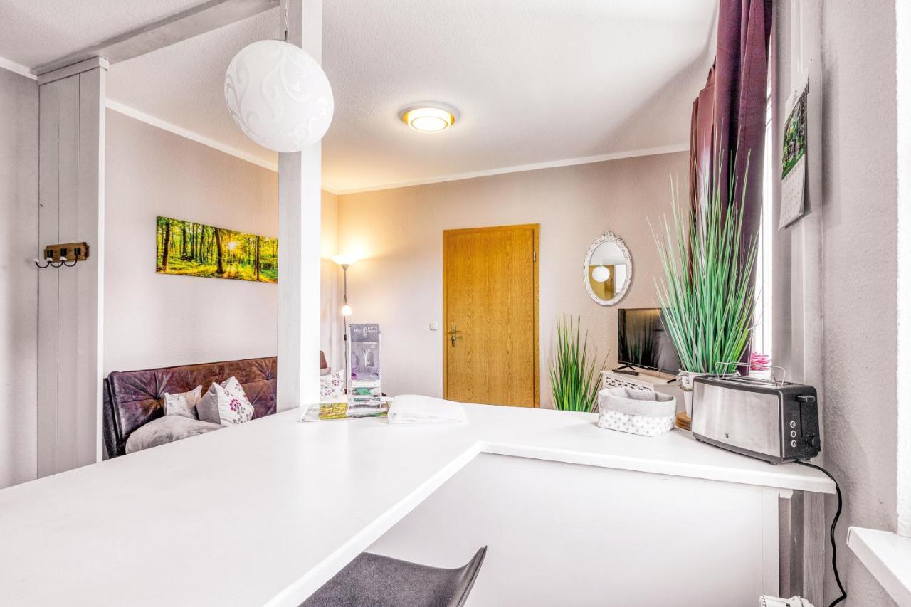 Ferienwohnung Ziesing Friedrichsbrunn 탈레 외부 사진